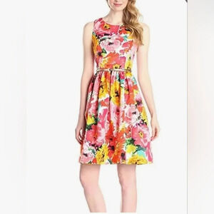 Eliza J Floral Fit to Flare Open/ Zip back belted Knee Length dress. 12 P